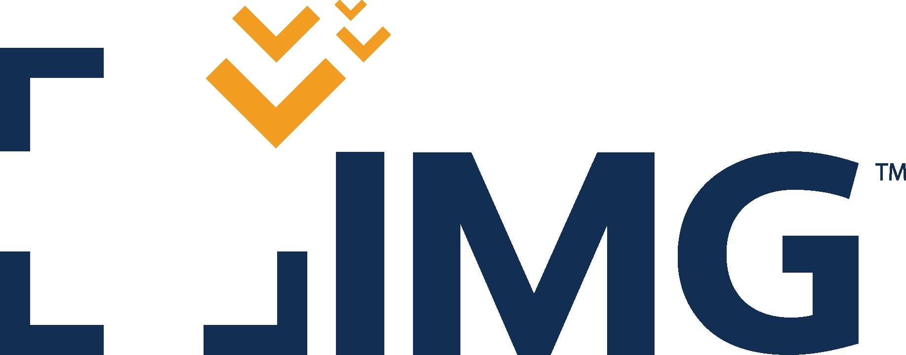 IMG (International Medical Group) logo